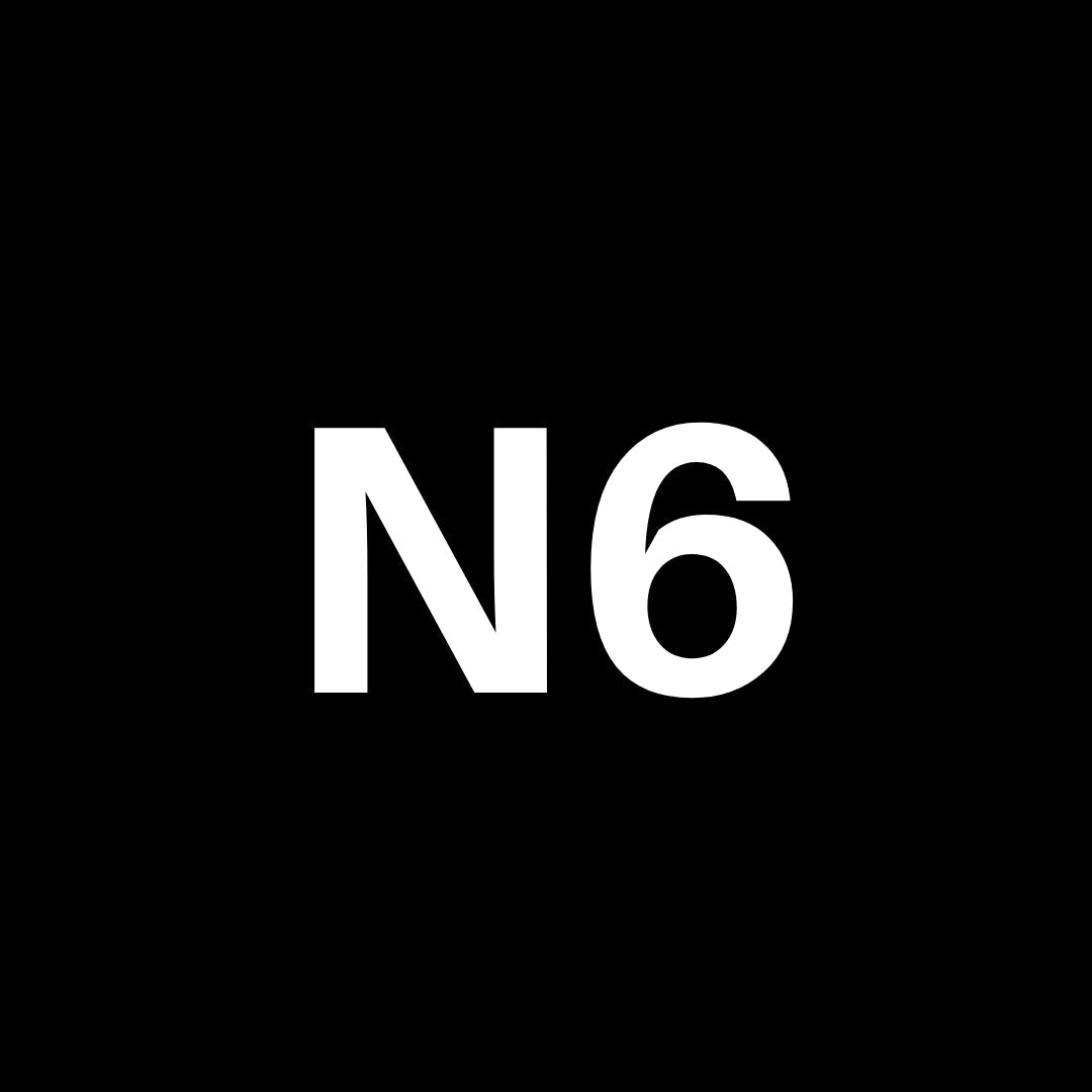NOIZ N6