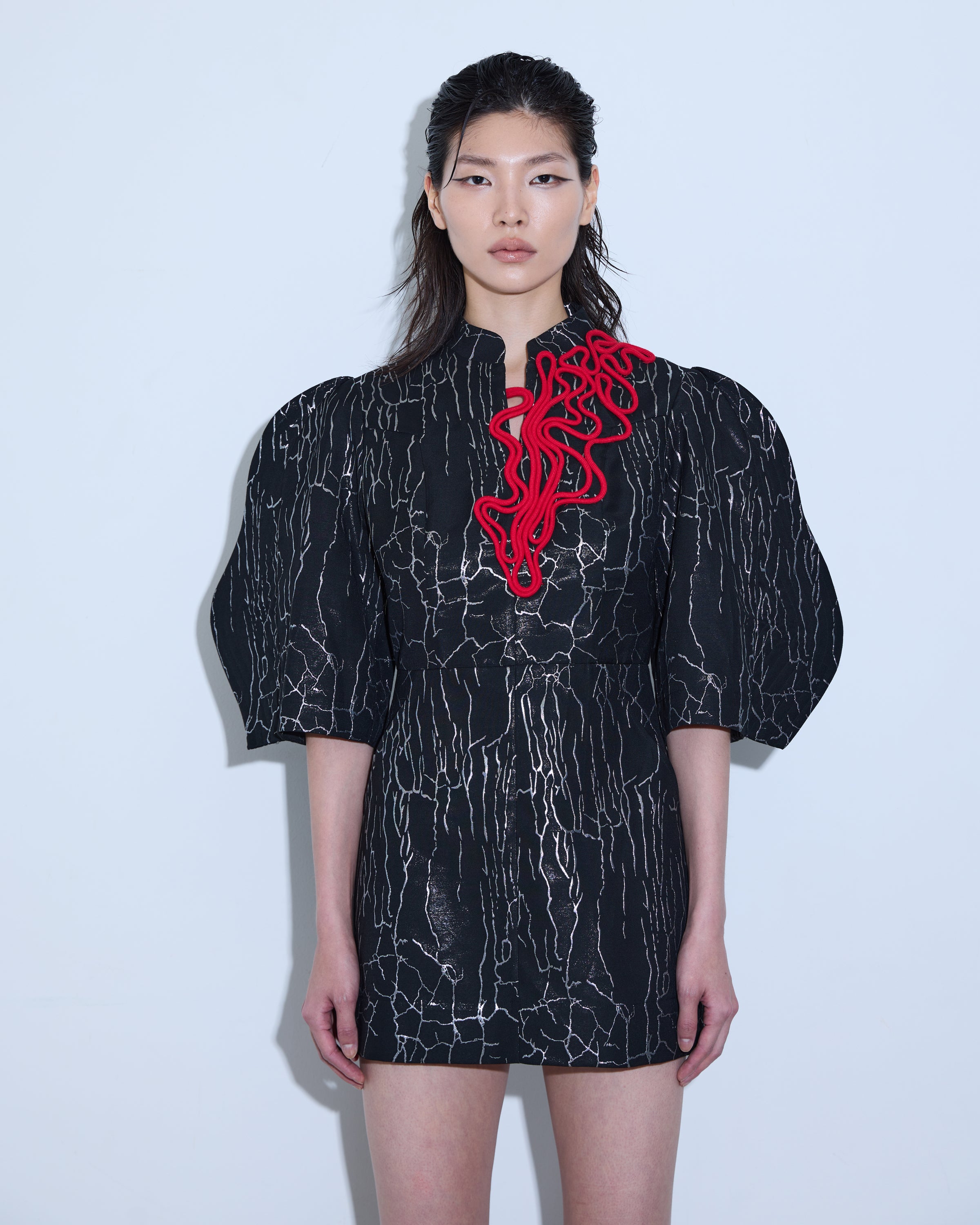 A-JANE Zennee Embellished Balloon Sleeve Dress
